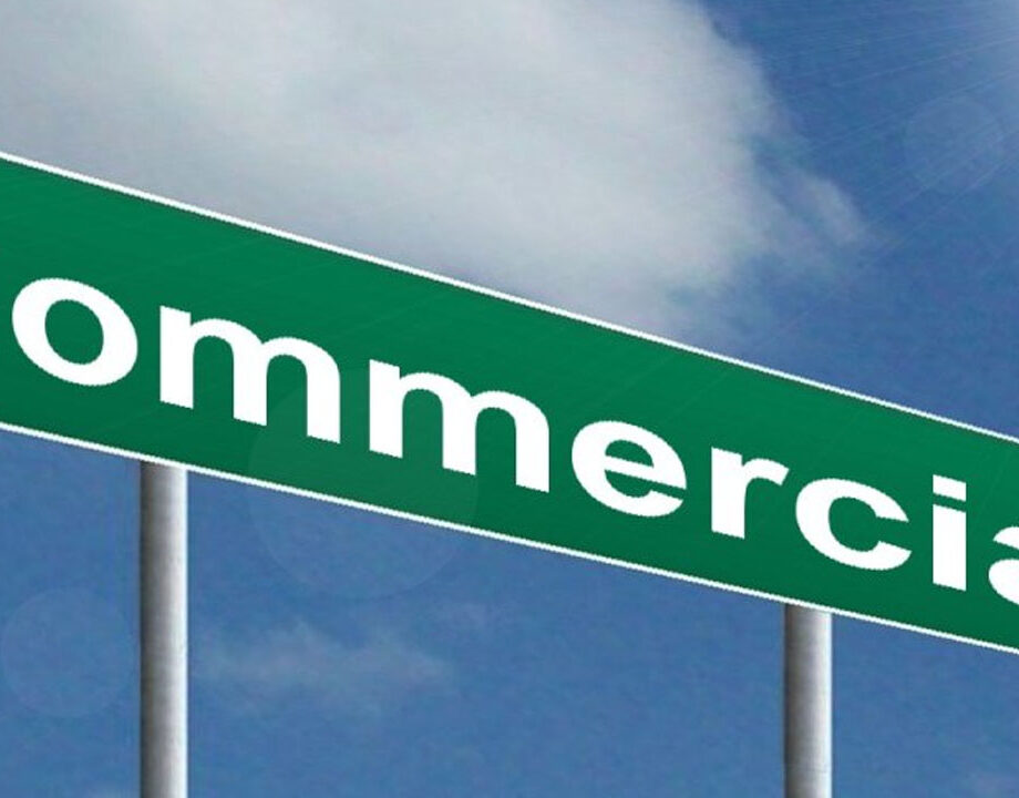 83959-934-statut-juridique-entreprise copy